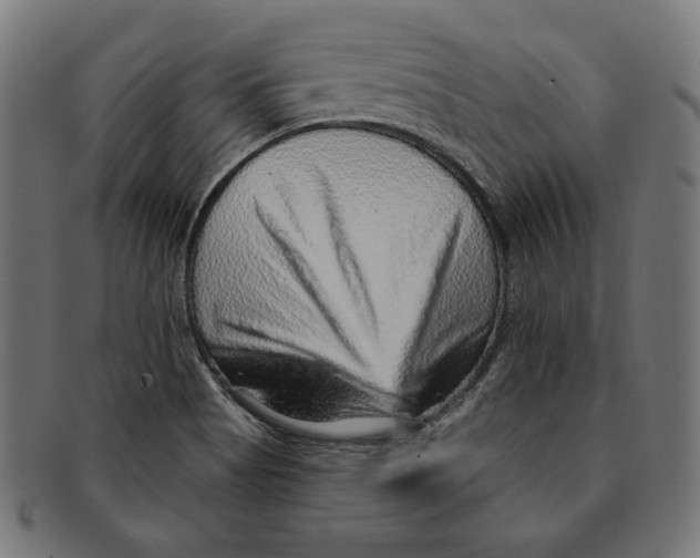 X0000092041513200710100948