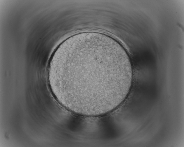 X0000092041514200710100948