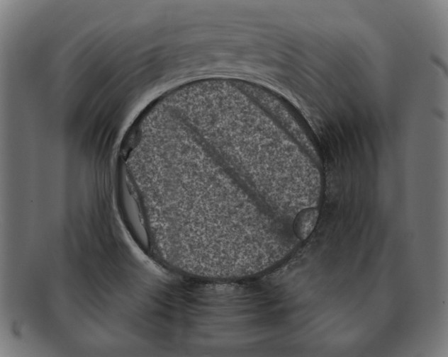 X0000092041515200710100948