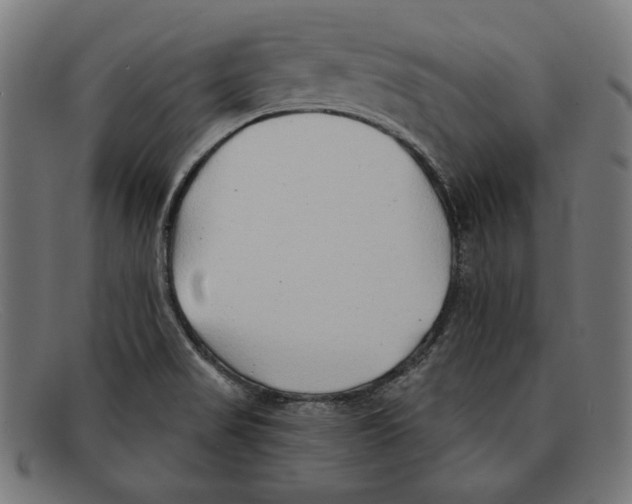 X0000092041517200710100948