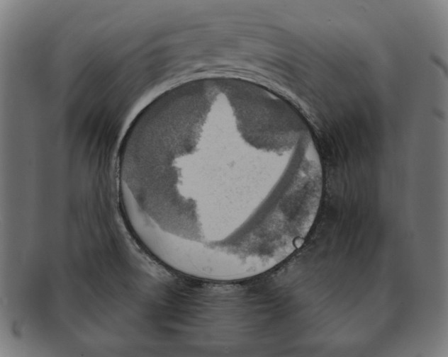 X0000092041522200710100948