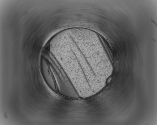 X0000092041523200710100948