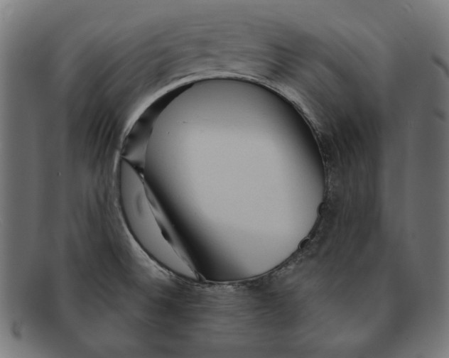 X0000092041524200710100948