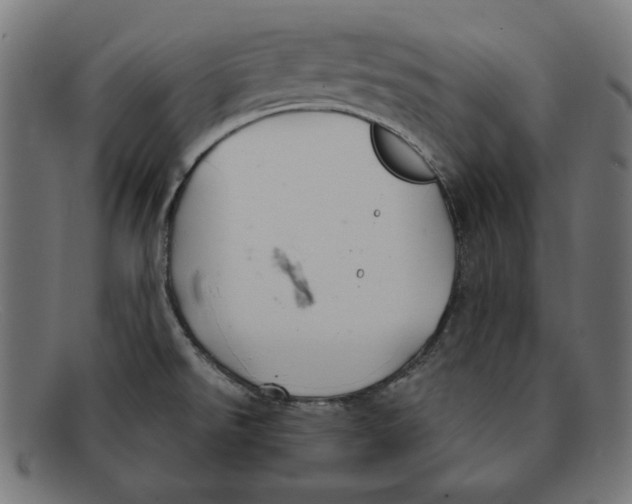 X0000092041526200710100948