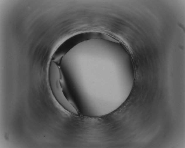 X0000092041528200710100948