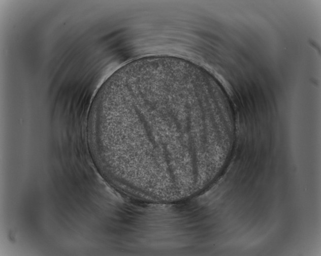 X0000092041529200710100948