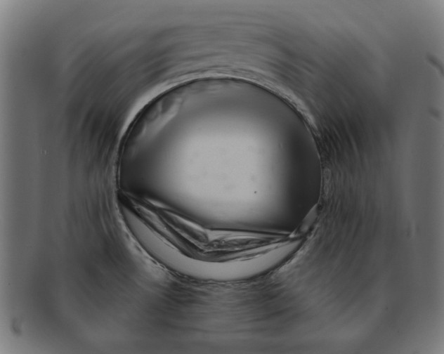 X0000092041530200710100948