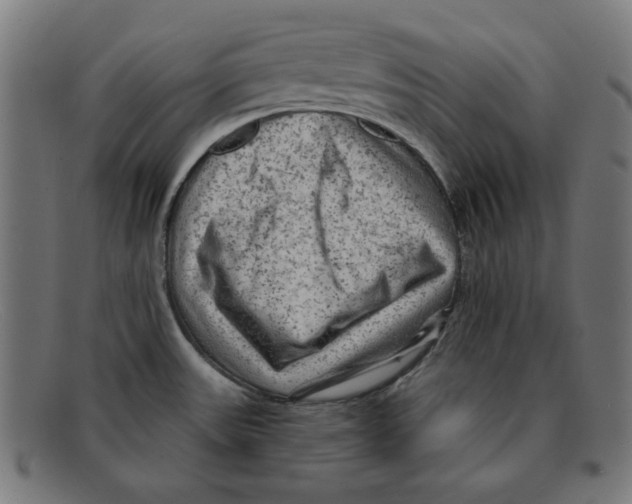 X0000092041531200710100948