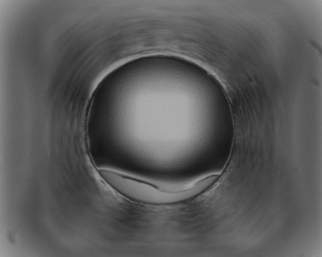 X0000092041534200710100948