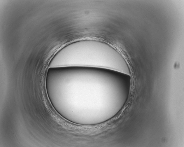 X0000092050001200709121034