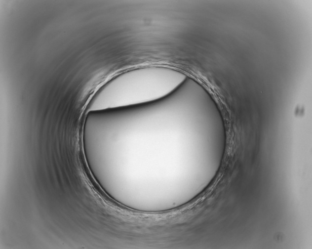 X0000092050002200709121034