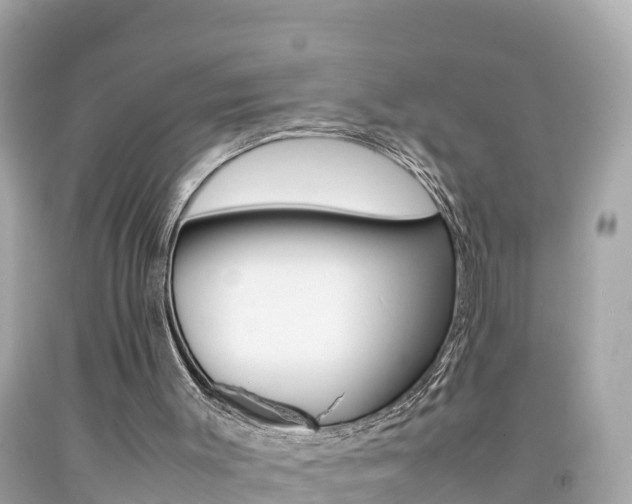 X0000092050003200709121034