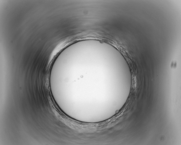 X0000092050004200709121034