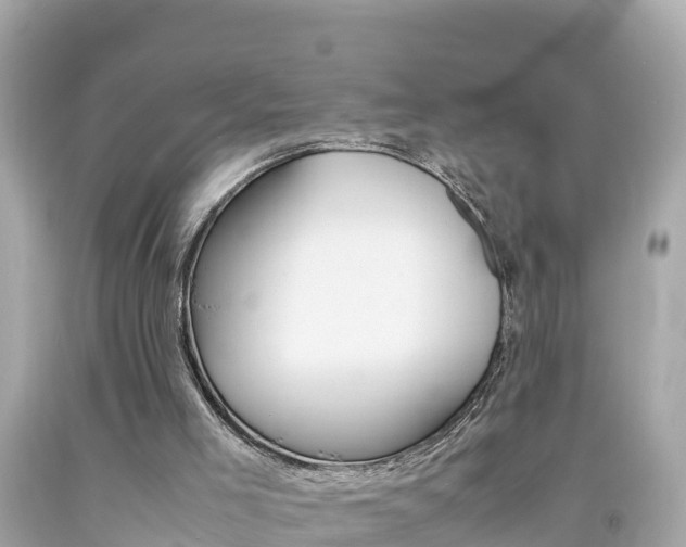 X0000092050005200709121034