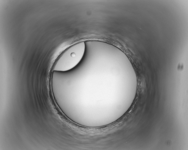 X0000092050006200709121034