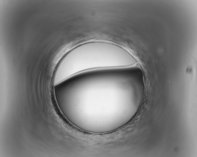 X0000092050007200709121034