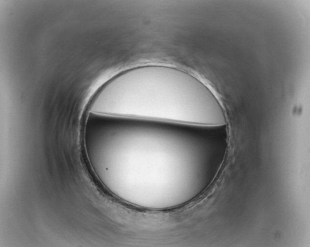 X0000092050008200709121034