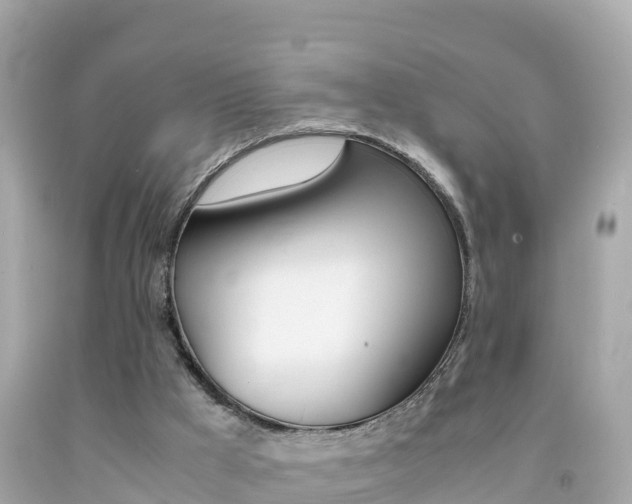 X0000092050009200709121034