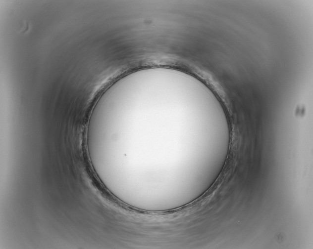 X0000092050010200709121034