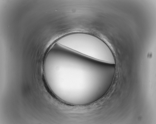 X0000092050011200709121034