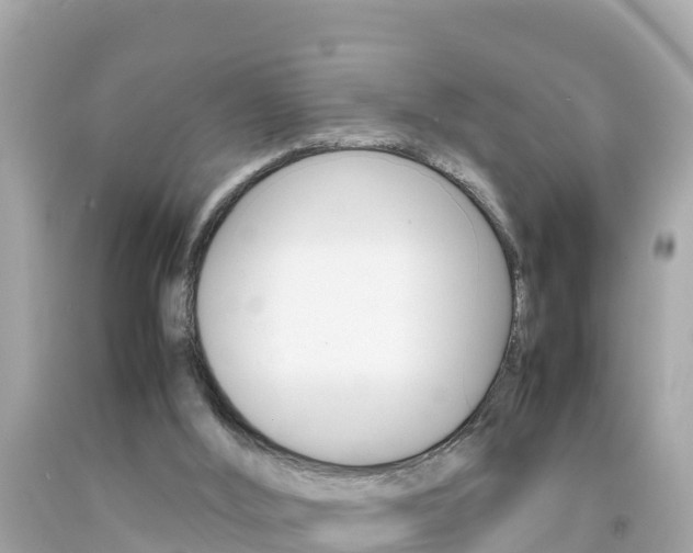 X0000092050012200709121034