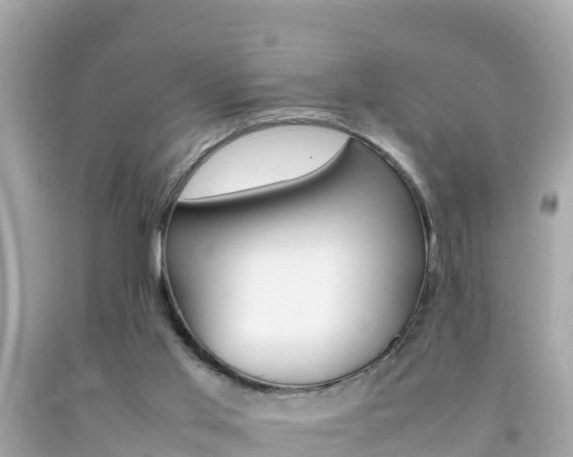 X0000092050013200709121034