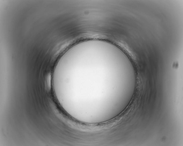 X0000092050014200709121034