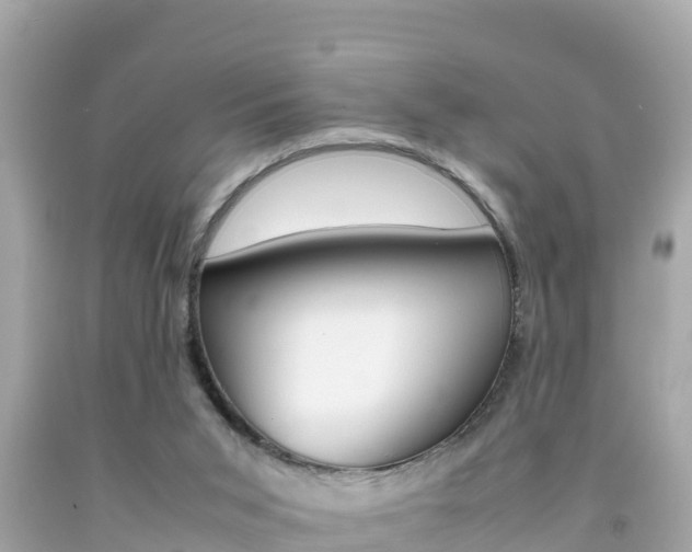 X0000092050015200709121034