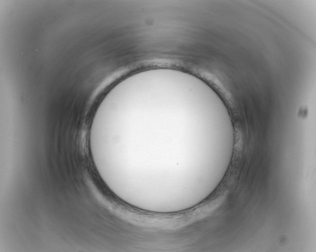 X0000092050016200709121034