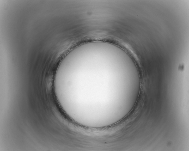 X0000092050018200709121034