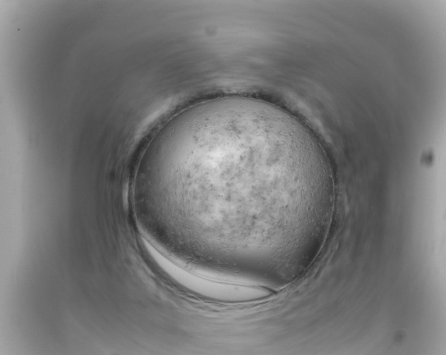 X0000092050019200709121034