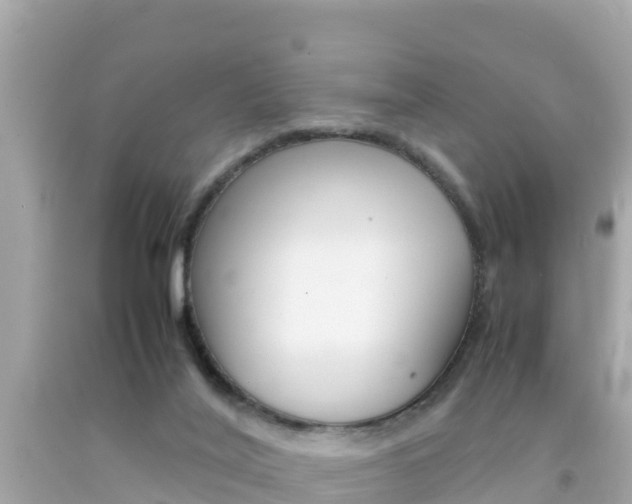 X0000092050020200709121034