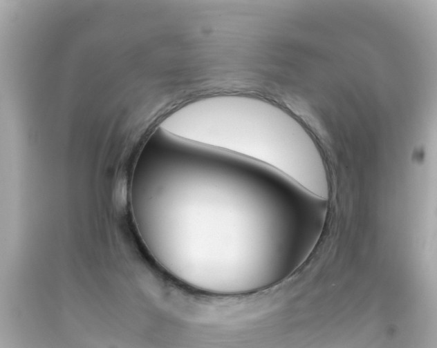 X0000092050021200709121034