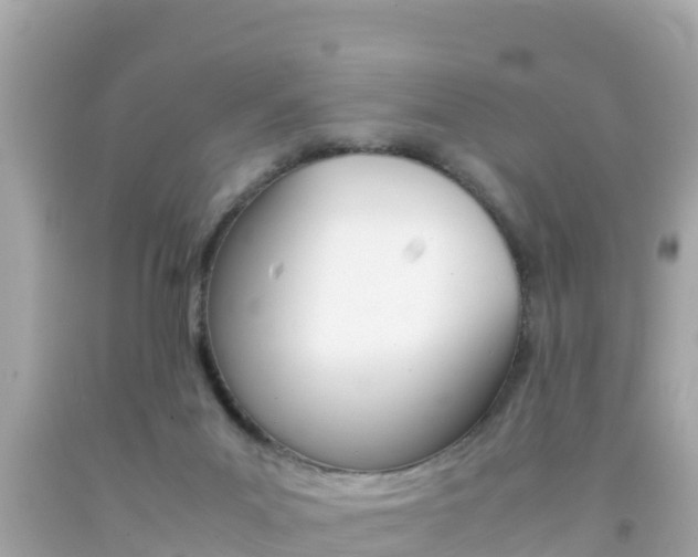 X0000092050023200709121034