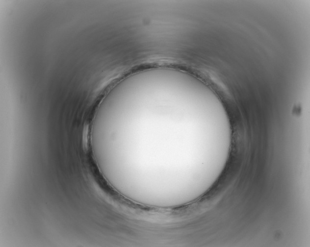 X0000092050024200709121034