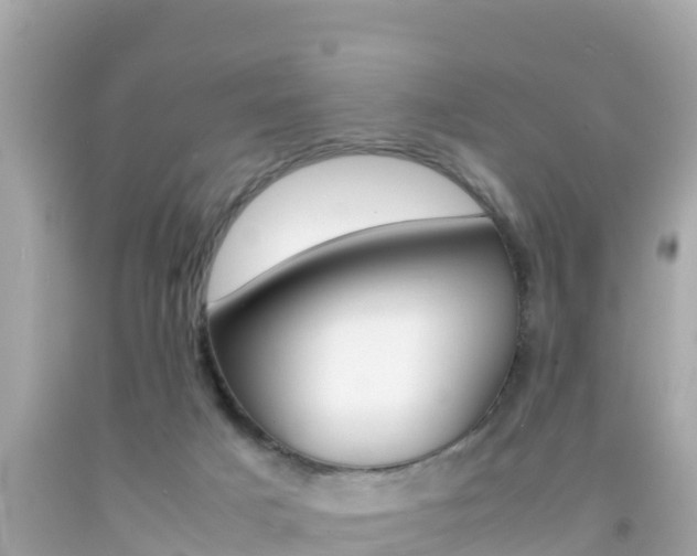 X0000092050025200709121034