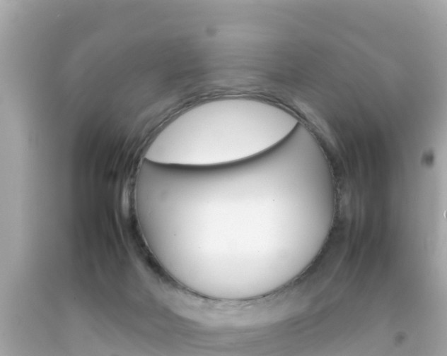 X0000092050026200709121034