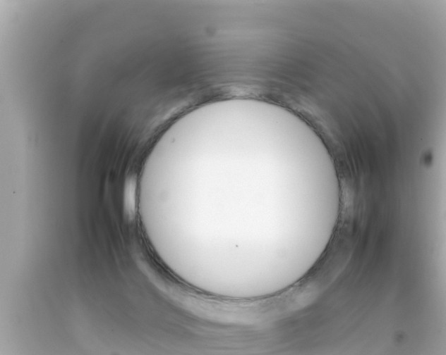 X0000092050028200709121034