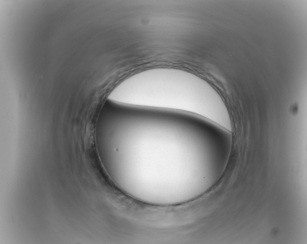 X0000092050029200709121034