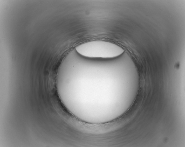 X0000092050030200709121034