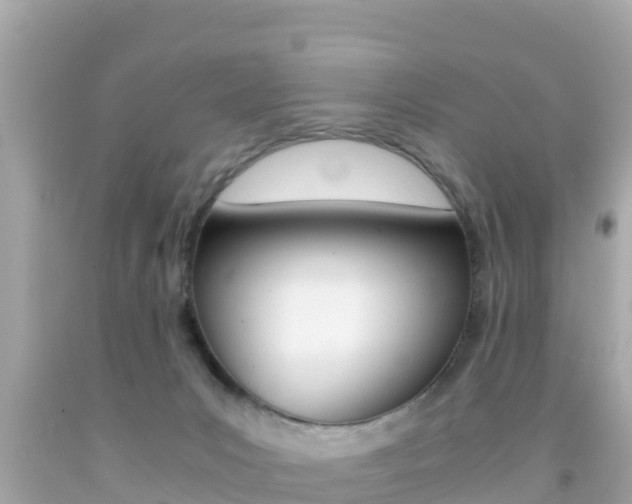 X0000092050031200709121034