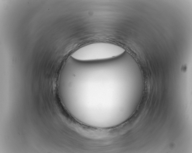 X0000092050032200709121034