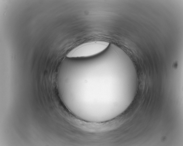 X0000092050034200709121034