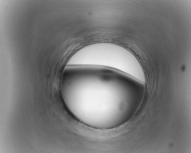 X0000092050035200709121034