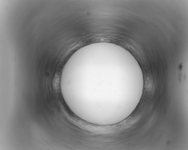 X0000092050036200709121034