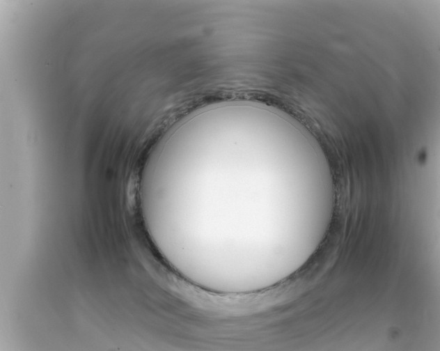 X0000092050038200709121034