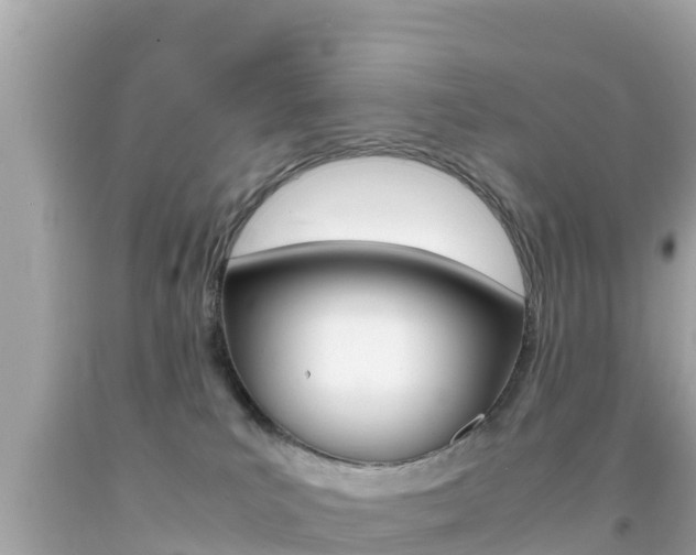 X0000092050039200709121034