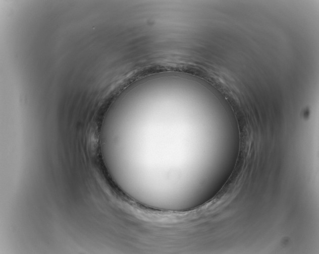 X0000092050040200709121034