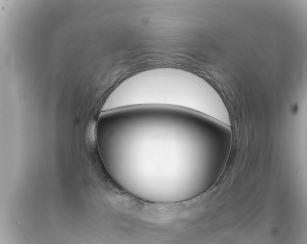 X0000092050041200709121034