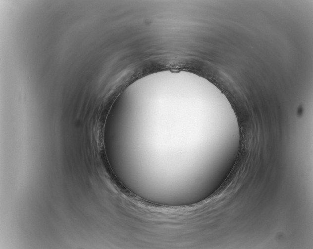 X0000092050044200709121034